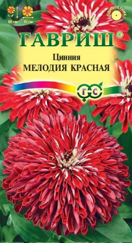 Цветы Цинния Мелодия красная 0,3 г ц/п Гавриш