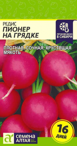 Редис Пионер на грядке (16 дней) 2 г ц/п Семена Алтая