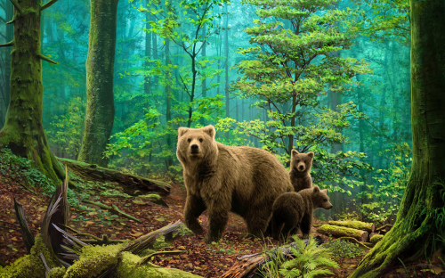 Ah5331 Медведи в лесу
