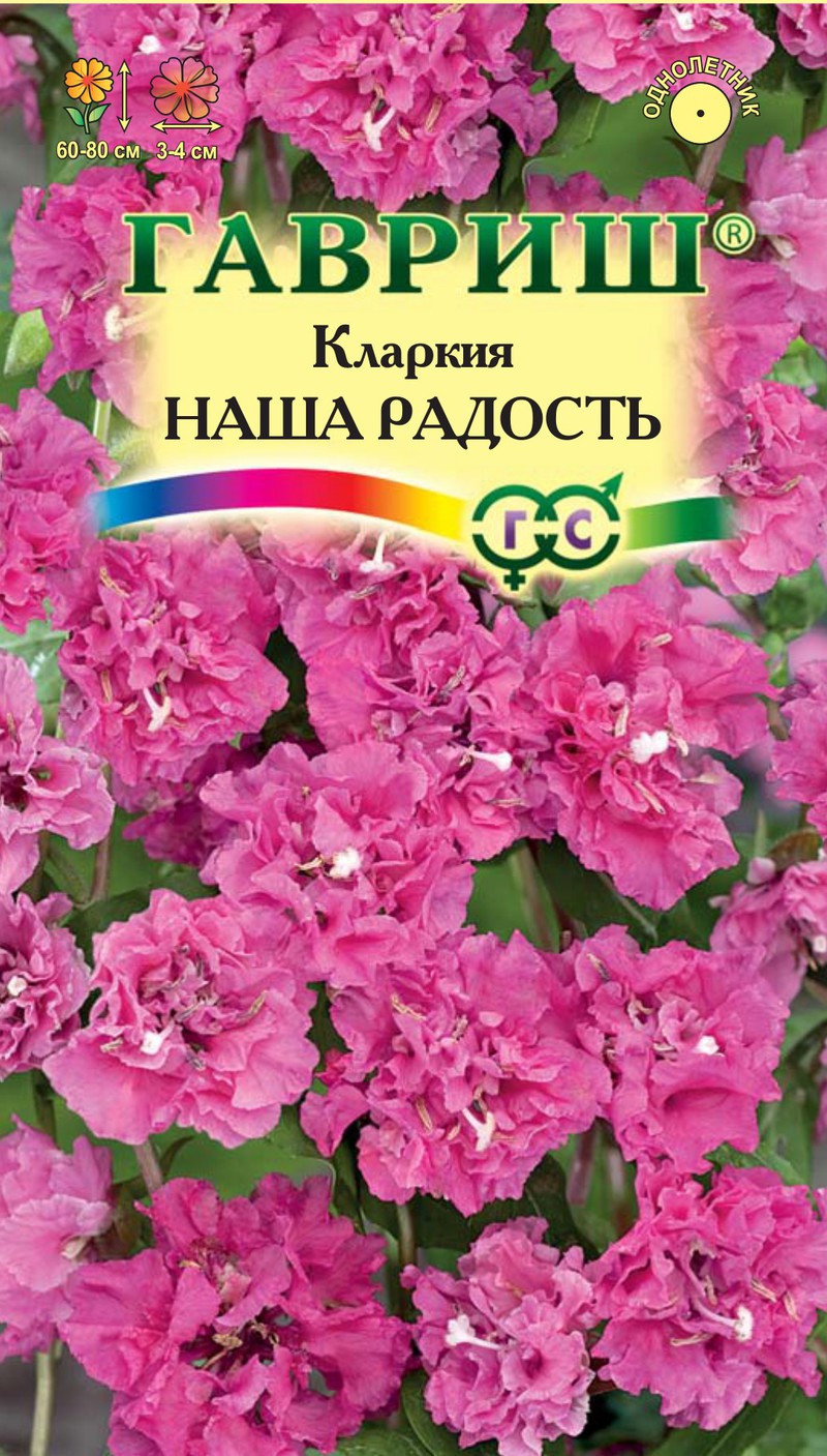 Кларкия ноготковая