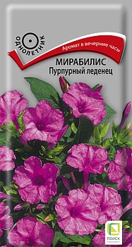 Цветы Мирабилис Пурпурный леденец 1 г ц/п Поиск (однол.)