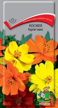 Цветы Космея Карпет Микс 0,2 г ц/п Поиск (однол.)