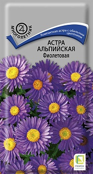 Цветы Астра альп. Фиолетовая 0,04 г ц/п Поиск (мног.)