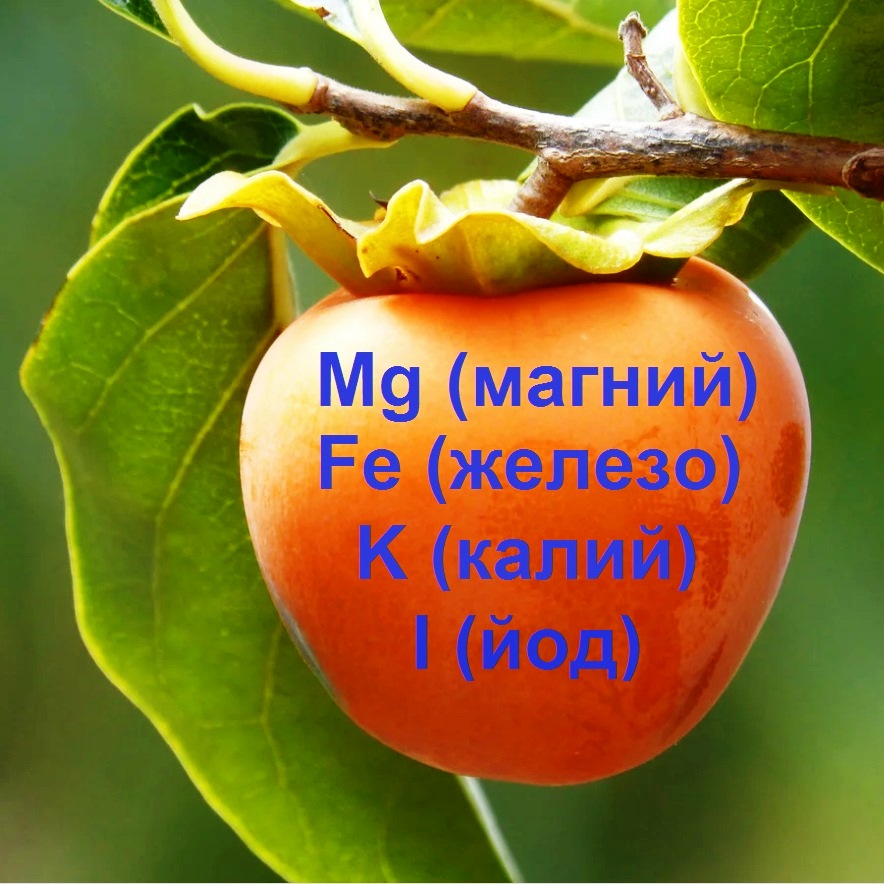 хурма вяленая. Резанная слайсами. Упаковка 500гр