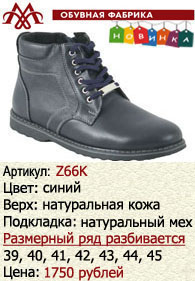 Зимняя обувь оптом: Z66K.