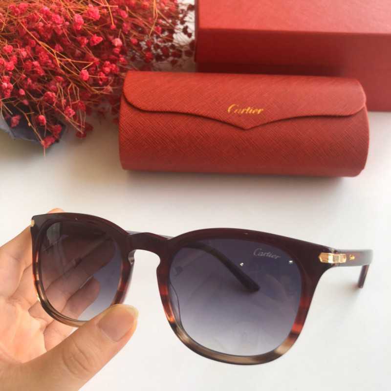 Cartier Ct0010 Rimless Cartier CT0010S 太阳眼镜