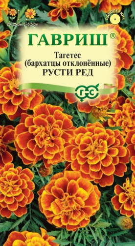 Бархатцы Огненный шар 5шт отклонен. хамелеон серия Эксклюзив