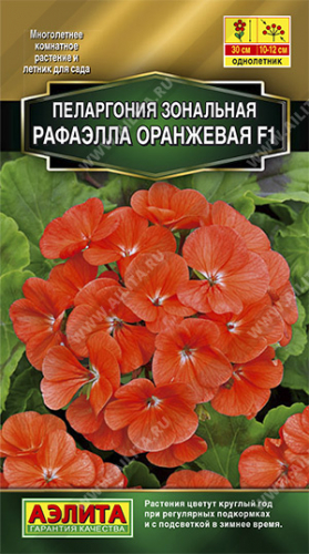 Пеларгония Рафаэлла оранжевая F1 5шт
