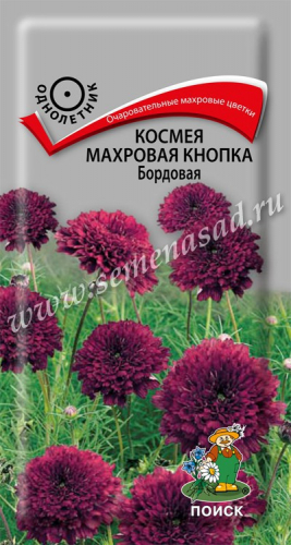 Космея Махровая кнопка бордовая 0,1г