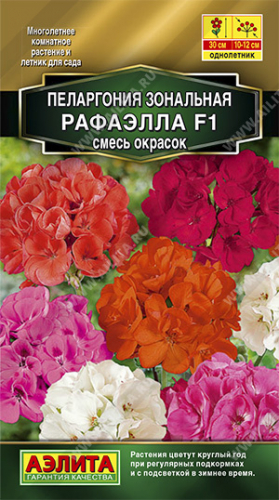 Пеларгония Рафаэлла смесь F1 5шт