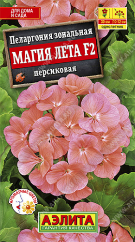 Пеларгония Магия лета F2  персик 5шт