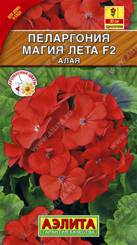 Пеларгония Магия лета F2  алая