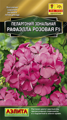 Пеларгония Рафаэлла розовая F1  5шт
