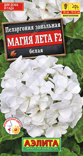 Пеларгония Магия лета F2  белая 5шт