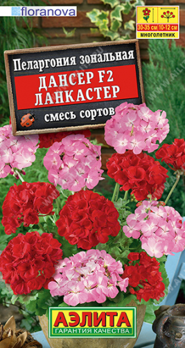 Пеларгония Дансер F2  Ланкастер смесь 5шт