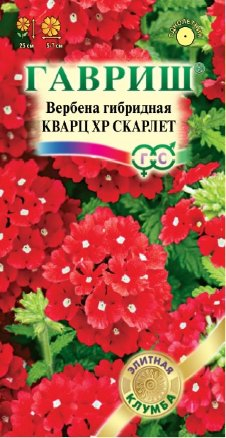 Вербена Кварц -ХР Скарлет ,гибридная 5шт серия Элитная клумба