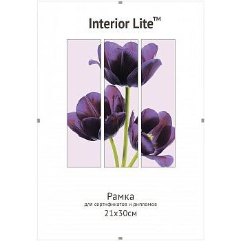Рамка для сертификата Interior Lite 21x30 (A4) Clip безбагетная-клип