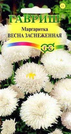 Маргаритка Весна заснеженная 0,05г серия Устойчив к заморозкам!