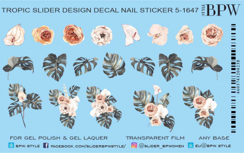 sd5-1647 Слайдер-дизайн Цветы и листья