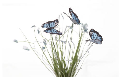 Стебли травы с бабочками (голубые)