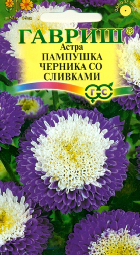 Цв. Астра Пампушка черника со сливками 0,3 г ц/п Гавриш