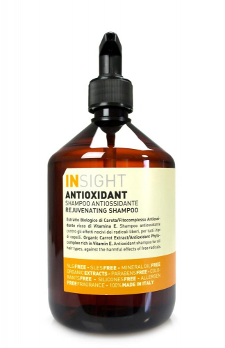 Шампунь антиоксидант «Очищающий» для перегруженных волос (400 мл) ANTIOXIDANT