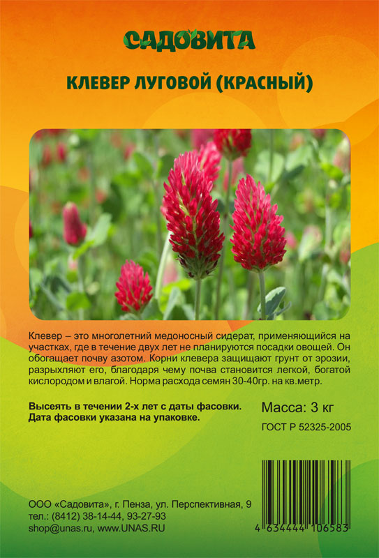 Красный Клевер Trifolium pratense