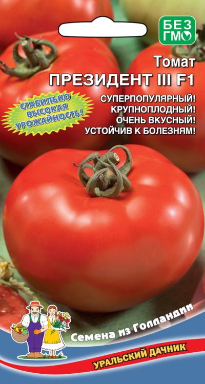 Томат Путин Отзывы Фото