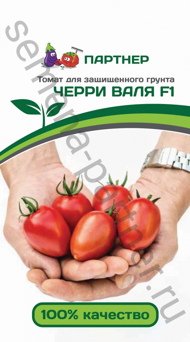 Перец веста партнер