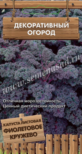 Капуста Фиолетовое кружево листовая 0,1г