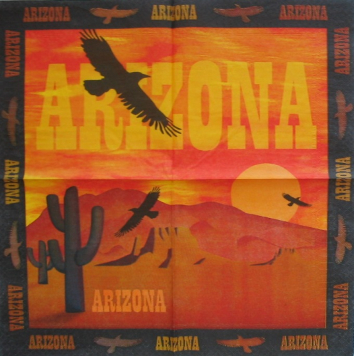 434. Аризона
