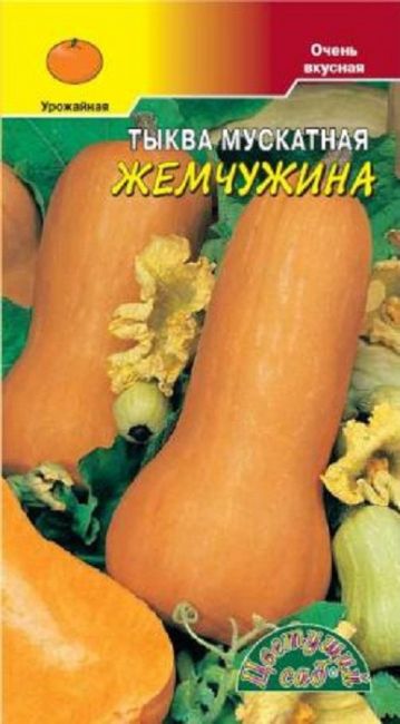 Тыква мускатная отзывы фото