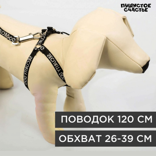 Комплект Security dog, шлейка 26-39 см, поводок 120х1 см