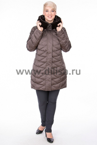 Куртка Plist 9815_Р (Кофе 1707-23)