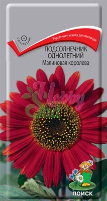Цветы Подсолнечник Малиновая королева декоративный (0,5 г) Поиск