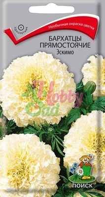 Цветы Бархатцы Эскимо прямостоячие (Тагетес прямостоячий) (0,1 г) Поиск
