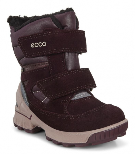 ECCOBIOM Зимние сапоги Gore-Tex 733591-52132