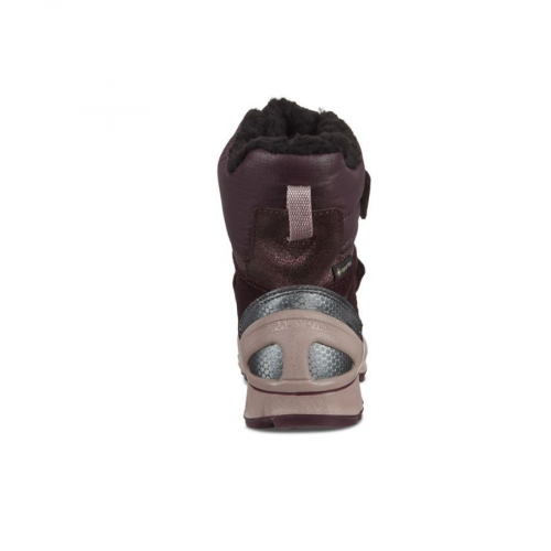 ECCOBIOM Зимние сапоги Gore-Tex 733591-52132