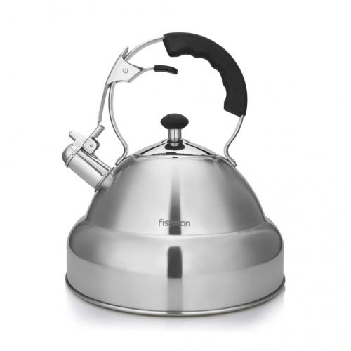 5909 FISSMAN Чайник для кипячения воды ALBA 4,5 л (нерж.сталь)