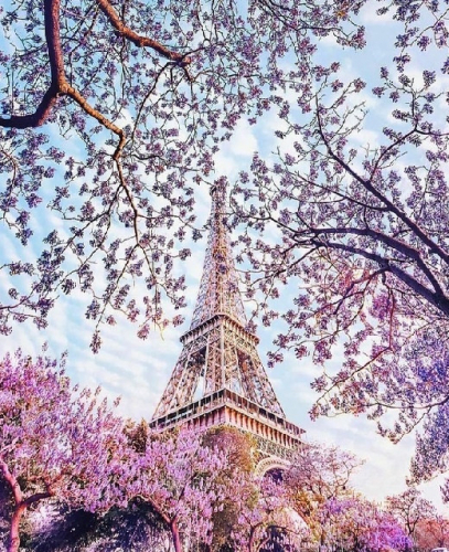Картины по номерам 40х50 Весенний Париж