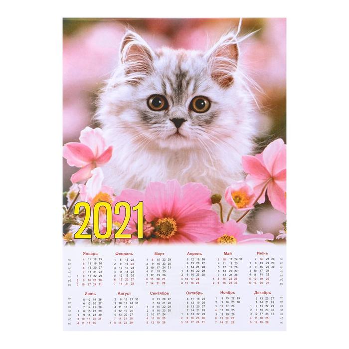 календарь 2023 год кота. новогодняя игрушка символ года 2023. календарик на 2023 с котятами. календарь 2020 с котятами. календарь с кошками на 2023 год.
