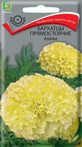 Цветы Бархатцы пр. Аляска 0,1 ц/п Поиск