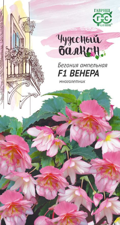 Цветы Бегония амп. Венера F1 4 шт ц/п Гавриш Чудесный балкон (комн.)