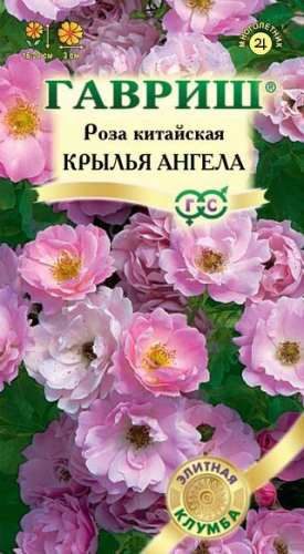 Цветы Роза Крылья Ангела 5 шт ц/п Гавриш (мног.)