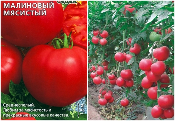 Томат Малиновый Фото