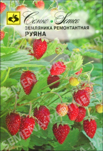 ЗЕМЛЯНИКА РЕМОНТАНТНАЯ РУЯНА ^(0,05Г)