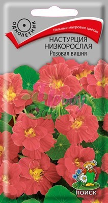 Цветы Настурция Розовая вишня низкорослая (1 г) Поиск
