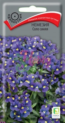 Цветы Немезия Соло синяя (0,05 г) Поиск