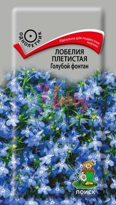 Цветы Лобелия Голубой фонтан плетистая (0,1 г) Поиск
