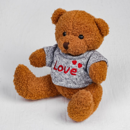 Мягкая игрушка «Медведь», 20 см, кофточка с надписью, цвета МИКС